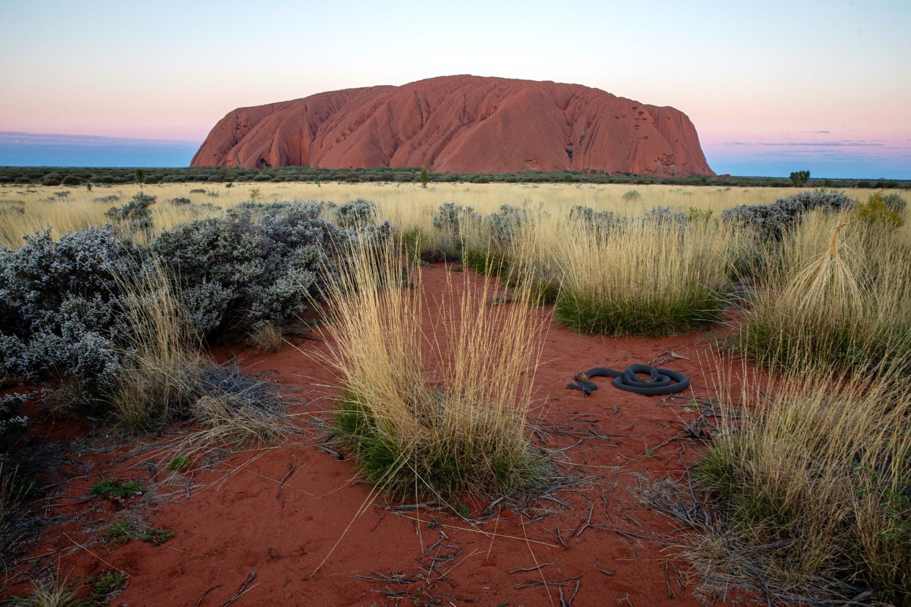 francknemni uluruetleserpent theartcycle photo_secondaire 1707602268.jpeg The Art Cycle